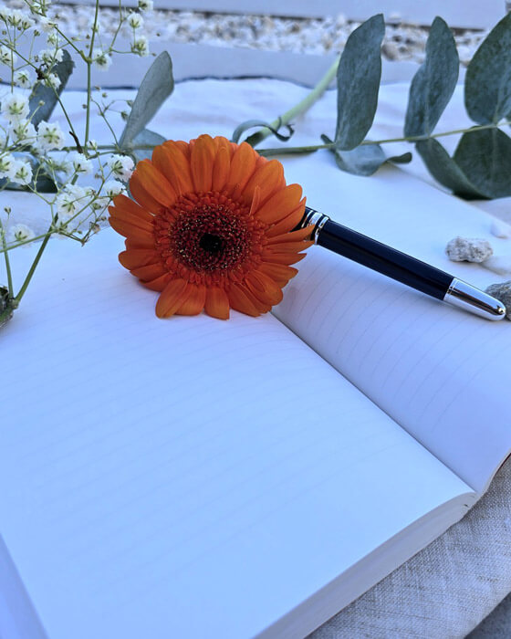 livre carnet d'écriture stylo